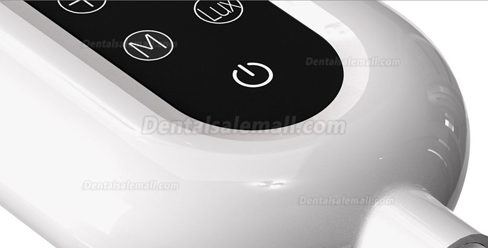 Bonin BM01-T 10W Bench Mounted Dental LED Teeth Whitening Lampe 3 Color Light